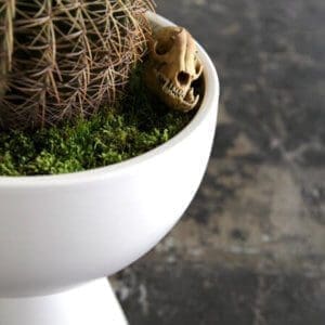 Architectural Pottery FX with S2 Pedestal