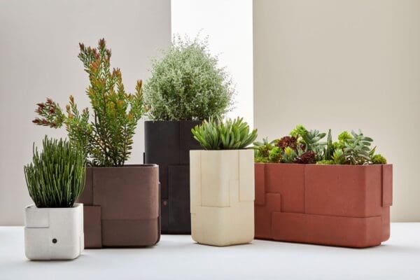 Indigenus Petra Planter Introducing Indigenus: Sculpting the Landscape