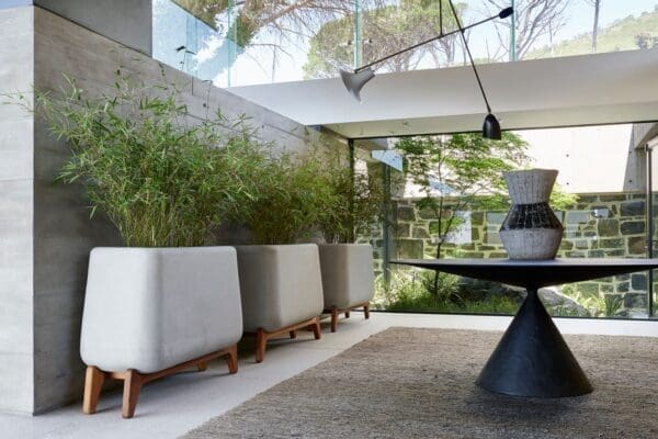 Indigenus Petra Planter Introducing Indigenus: Sculpting the Landscape