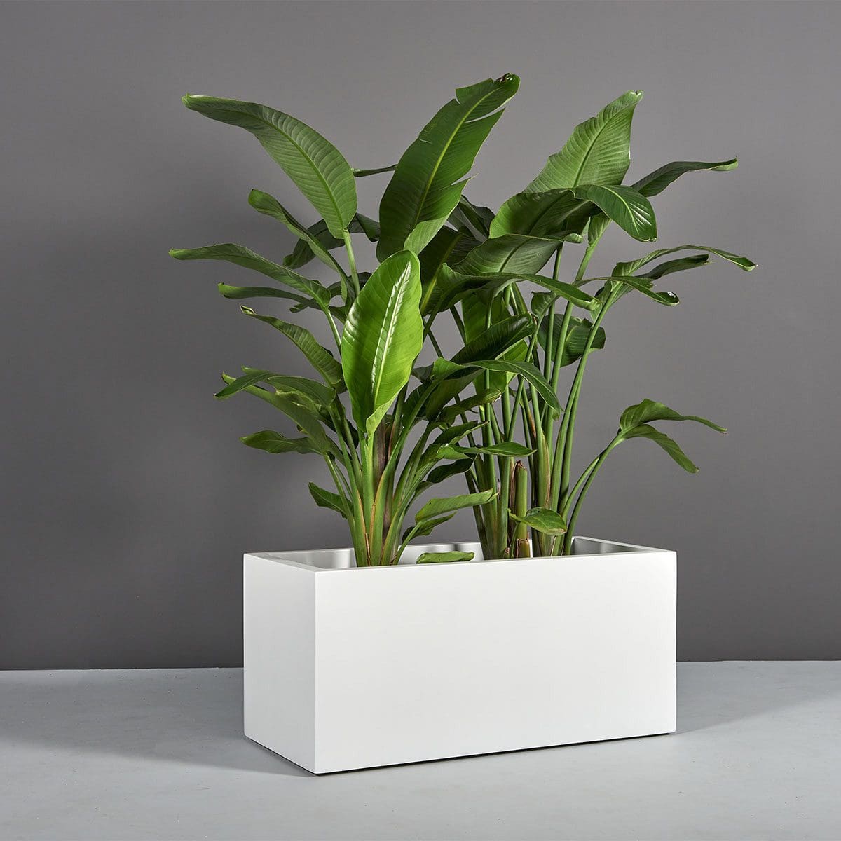 Badalona Rectangular Planter Badalona Rectangular Planter - Image 2