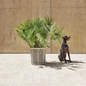 Varaschin EMMA / Flowerpot