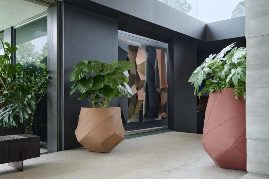 Introducing Indigenus: Sculpting the Landscape Introducing Indigenus: Sculpting the Landscape