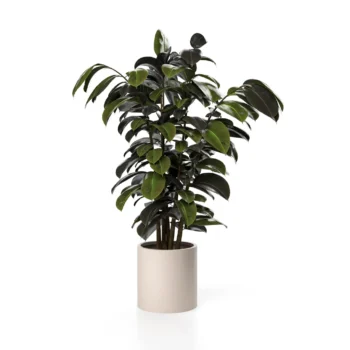 SKLD Ventus Planter L SKLD Ventus Planter L